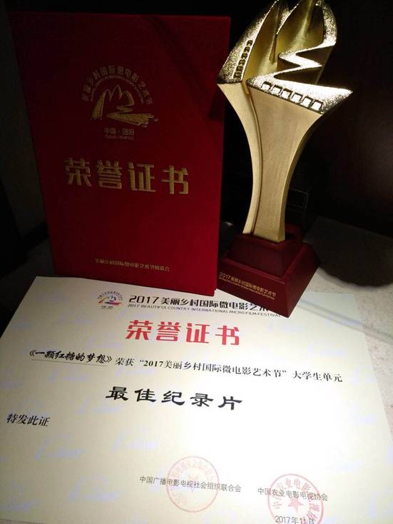 我院师生央视领取微电影大奖