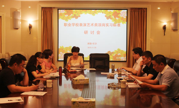 职业学校表演艺术类专业顶岗实习标准研讨会在我院举行