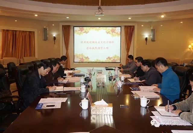 肖凌之副厅长到我院督查调研宣传信息工作