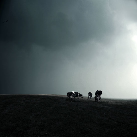 影视系李发学老师摄影作品《原野》成功入选奥地利特伦伯超级摄影巡回展