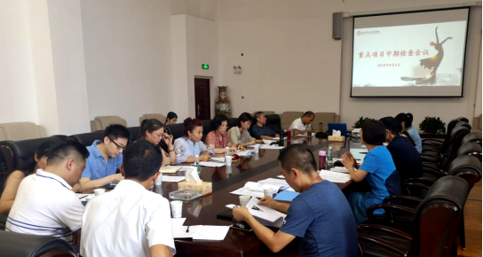 我院召开重点项目中期检查会