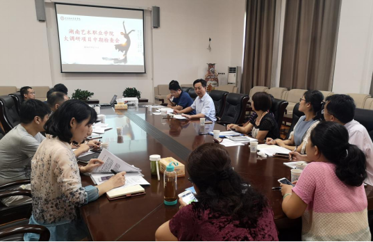 我院召开大调研项目中期检查会