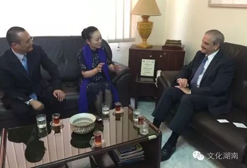 李晖厅长：加强文化交流 用艺术语言讲好湖南故事——《中国新闻网》