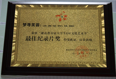 我院学生作品参加省第三届大学生艺术节获奖