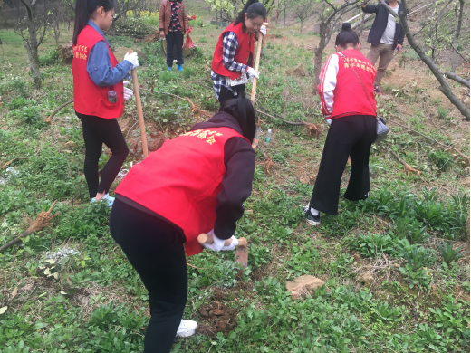 我院开展植树活动