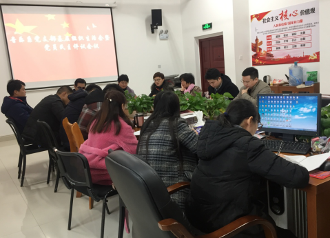 音乐系党支部召开组织生活会暨民主评议党员大会